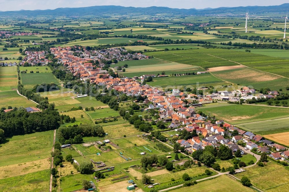 Freckenfeld from above - Village view on the edge of agricultural fields and land in Freckenfeld in the state Rhineland-Palatinate, Germany