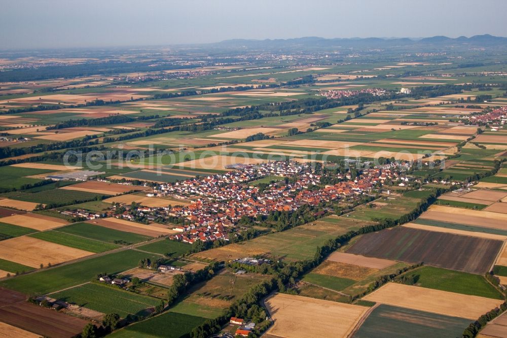 Gommersheim from the bird's eye view: Village view on the edge of agricultural fields and land in Gommersheim in the state Rhineland-Palatinate, Germany