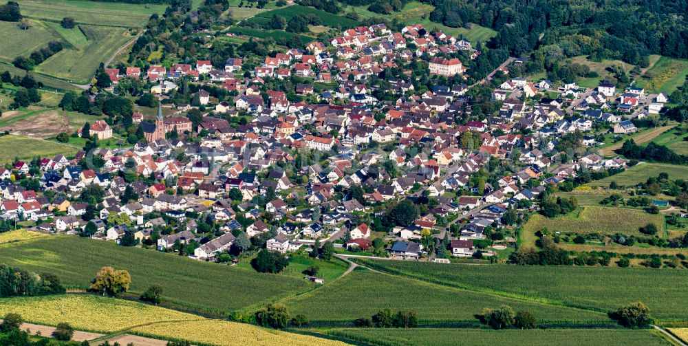 Aerial image Heiligenzell - Village view on the edge of agricultural fields and land in Heiligenzell in the state Baden-Wuerttemberg, Germany