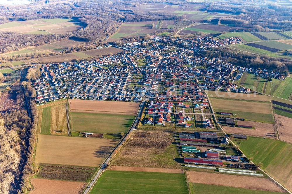 Hördt from above - Village view on the edge of agricultural fields and land in Hoerdt in the state Rhineland-Palatinate, Germany