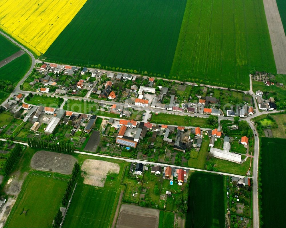 Aerial image Lübs - Village view on the edge of agricultural fields and land in Lübs in the state Saxony-Anhalt, Germany