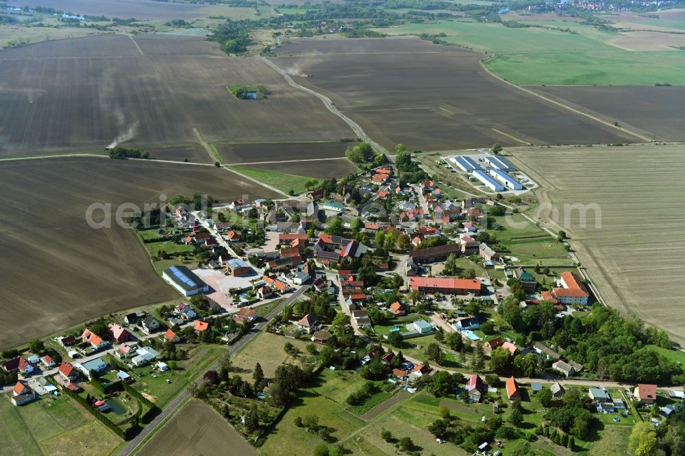 Lettewitz from above - Village view on the edge of agricultural fields and land in Lettewitz in the state Saxony-Anhalt, Germany