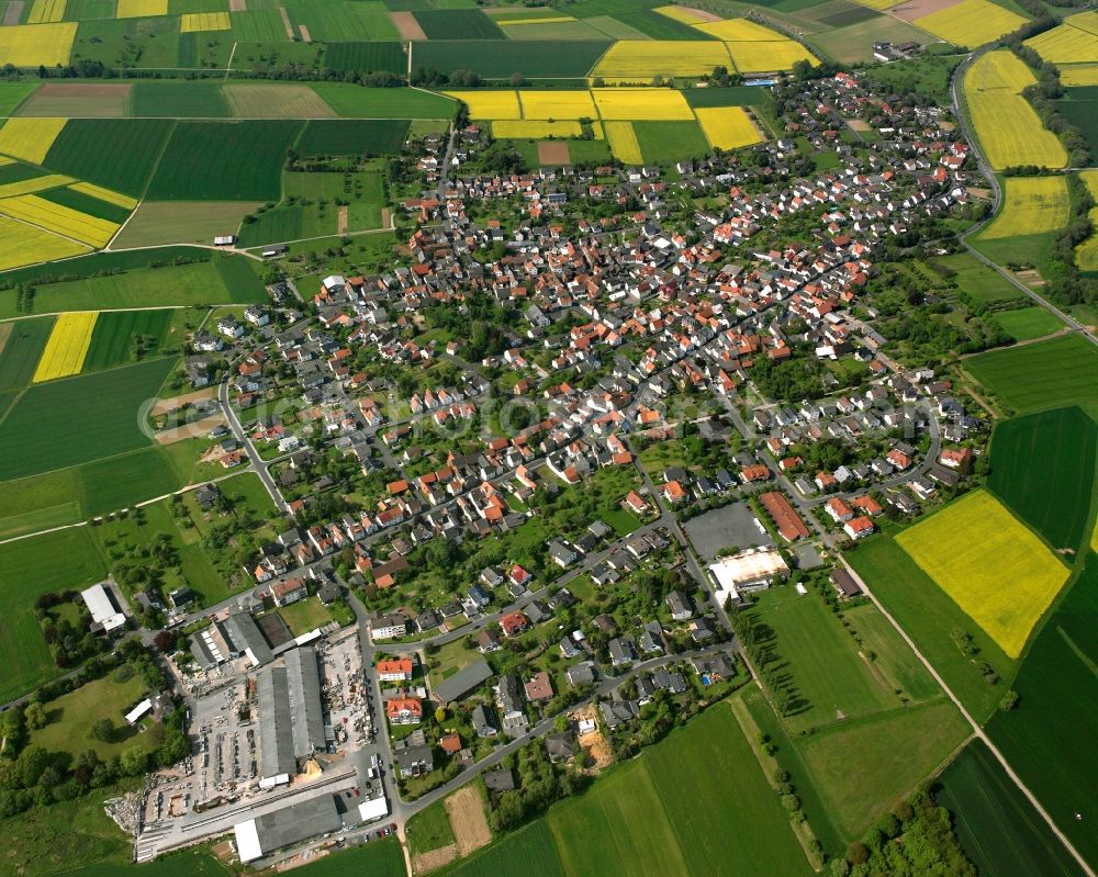 Lützellinden from the bird's eye view: Village view on the edge of agricultural fields and land in Lützellinden in the state Hesse, Germany