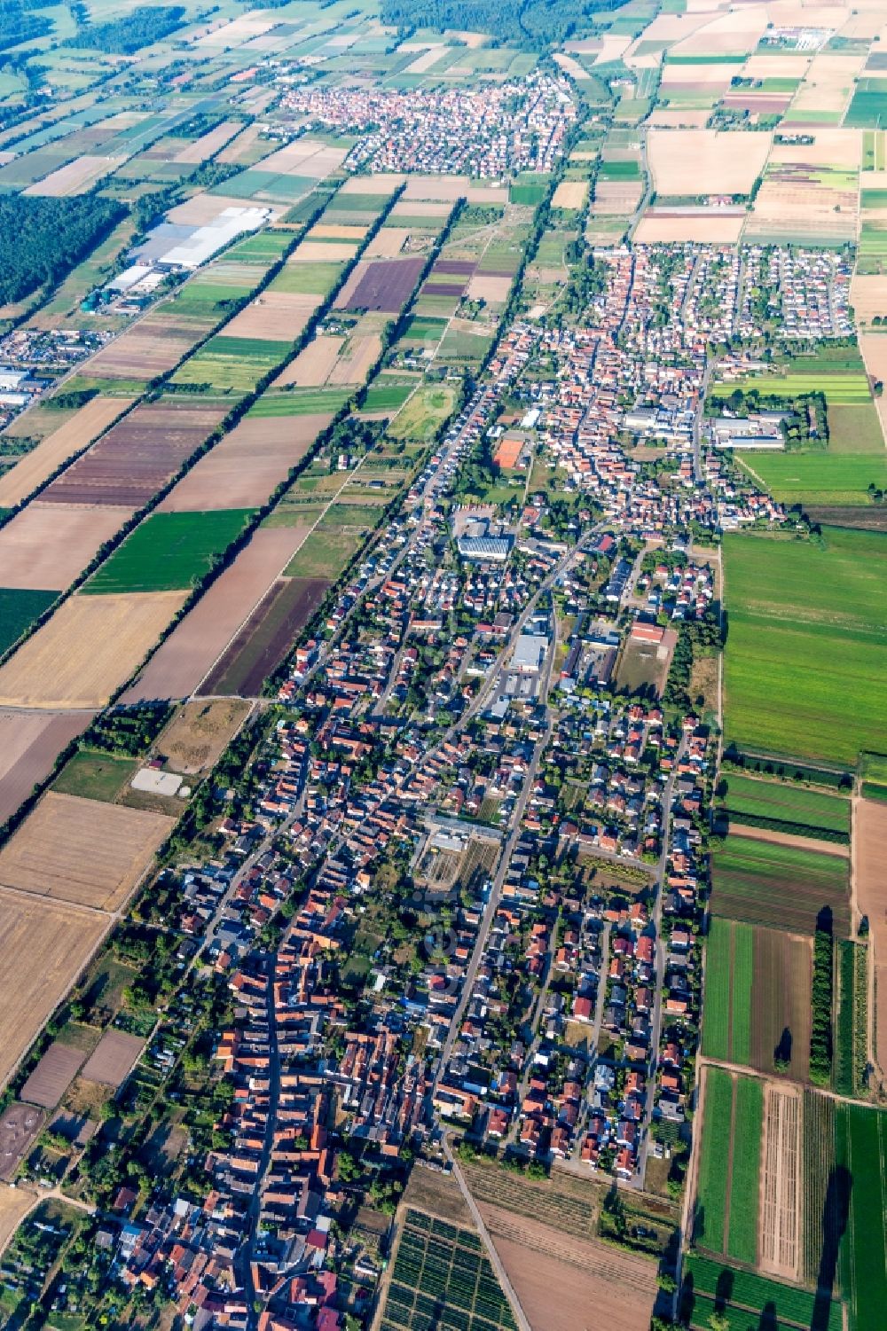 Aerial photograph Lustadt - Village view on the edge of agricultural fields and land in Lustadt in the state Rhineland-Palatinate, Germany
