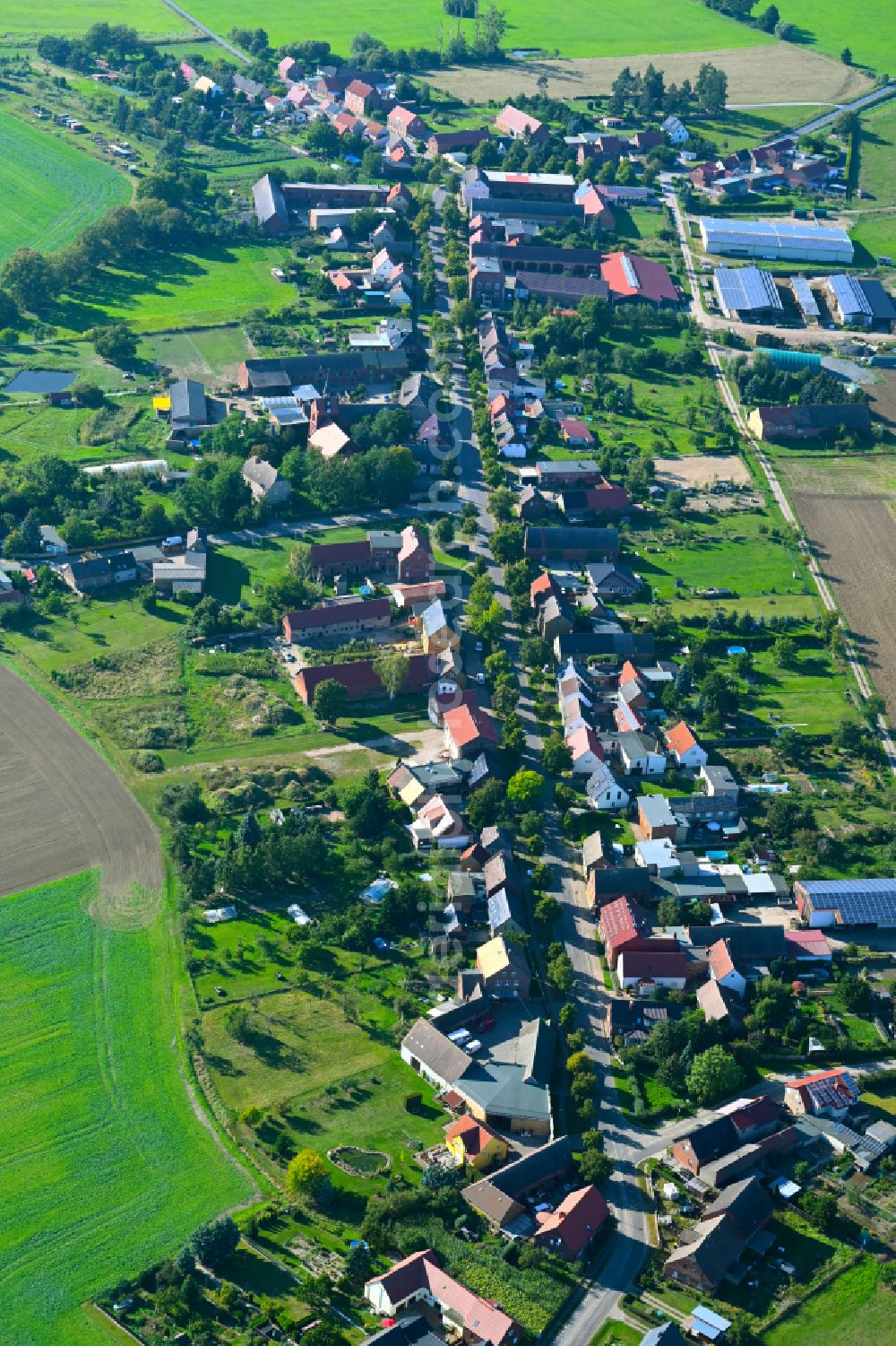 Melzwig from the bird's eye view: Village view on the edge of agricultural fields and land in Melzwig in the state Saxony-Anhalt, Germany