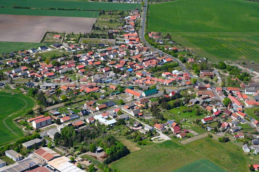 Aerial image Miesterhorst - Village view on the edge of agricultural fields and land in Miesterhorst in the state Saxony-Anhalt, Germany
