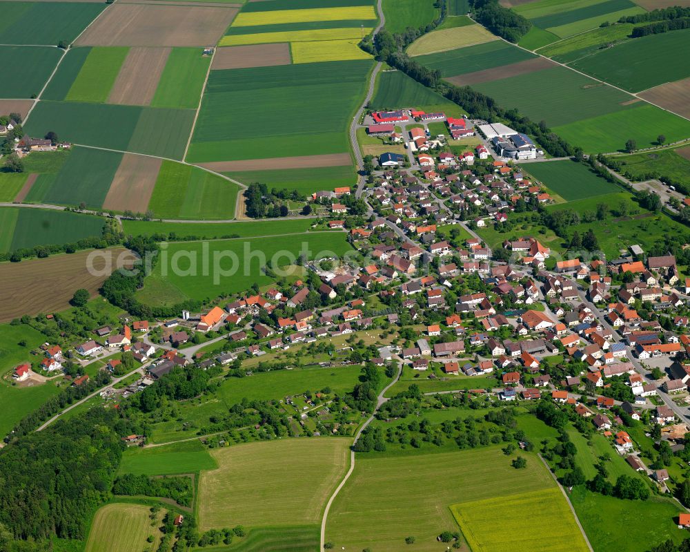 Mietingen from the bird's eye view: Village view on the edge of agricultural fields and land in Mietingen in the state Baden-Wuerttemberg, Germany