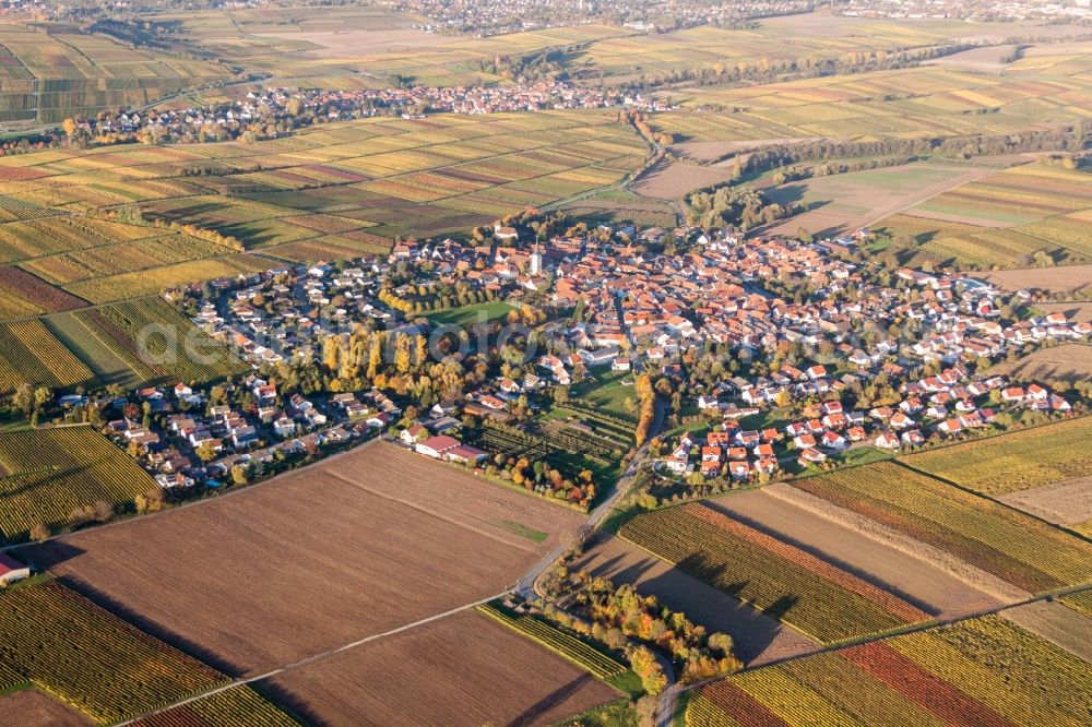 Mörzheim from the bird's eye view: Village view on the edge of agricultural fields and land in Moerzheim in the state Rhineland-Palatinate, Germany