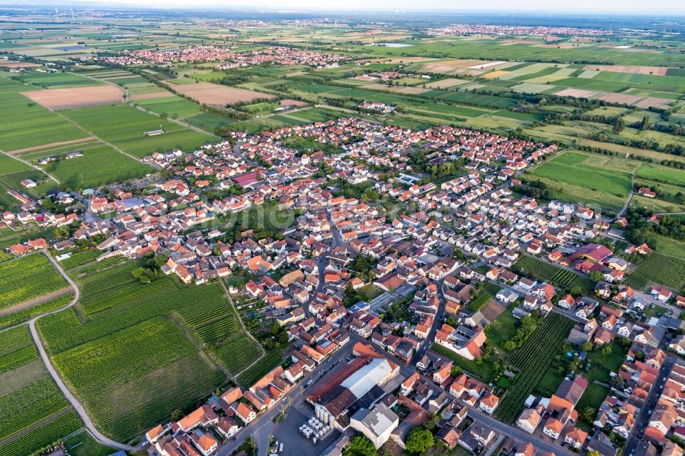 Niederkirchen bei Deidesheim from the bird's eye view: Village view on the edge of agricultural fields and land in Niederkirchen bei Deidesheim in the state Rhineland-Palatinate, Germany
