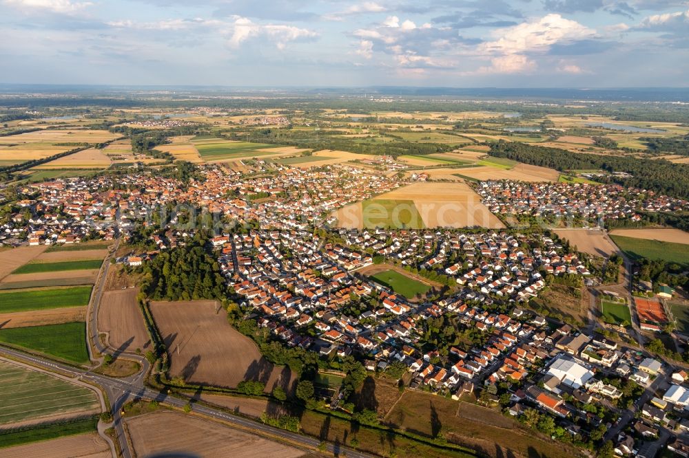 Aerial photograph Rheinzabern - Village view on the edge of agricultural fields and land in Rheinzabern in the state Rhineland-Palatinate, Germany