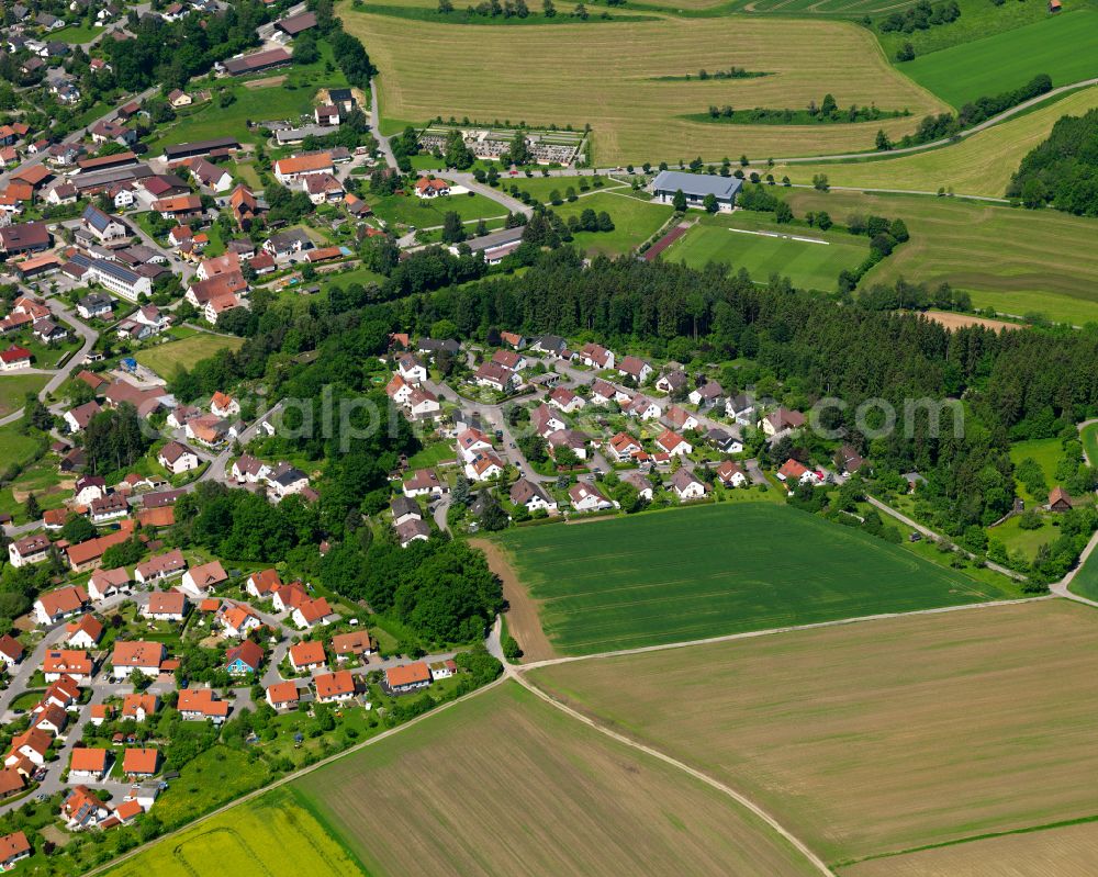 Aerial photograph Ringschnait - Village view on the edge of agricultural fields and land in Ringschnait in the state Baden-Wuerttemberg, Germany