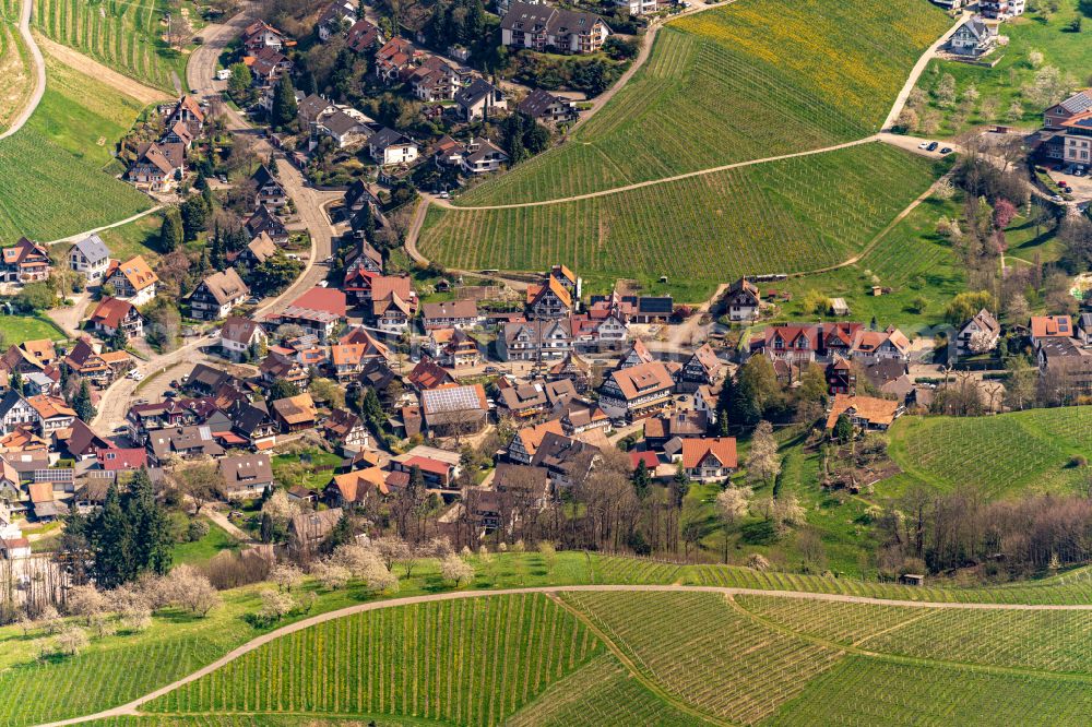 Aerial image Sasbachwalden - Village view on the edge of agricultural fields and land in Sasbachwalden in the state Baden-Wuerttemberg, Germany