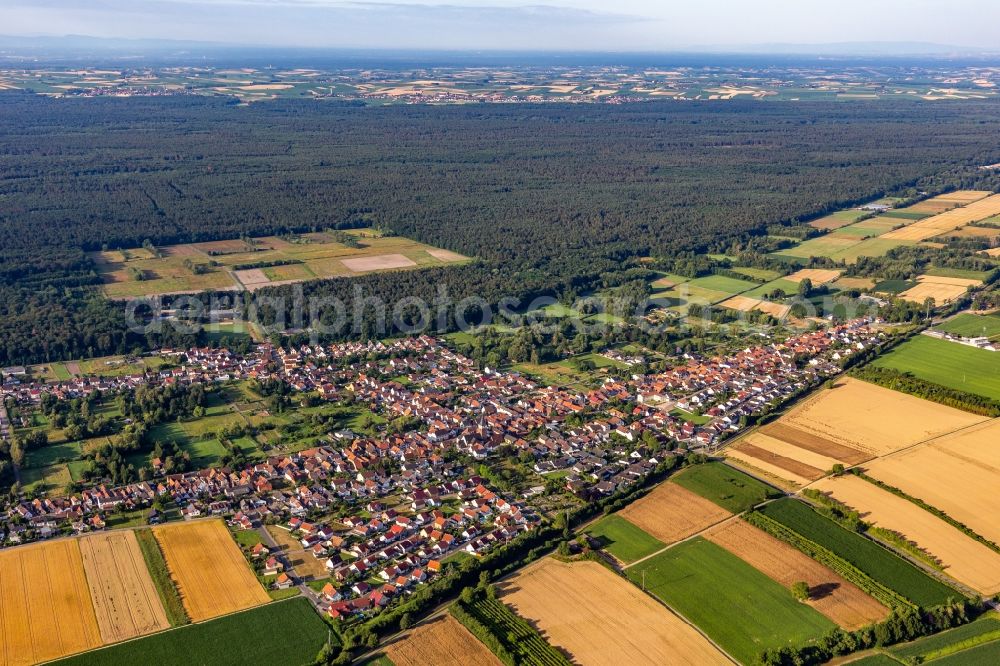 Aerial image Schaidt - Village view on the edge of agricultural fields and land in Schaidt in the state Rhineland-Palatinate, Germany