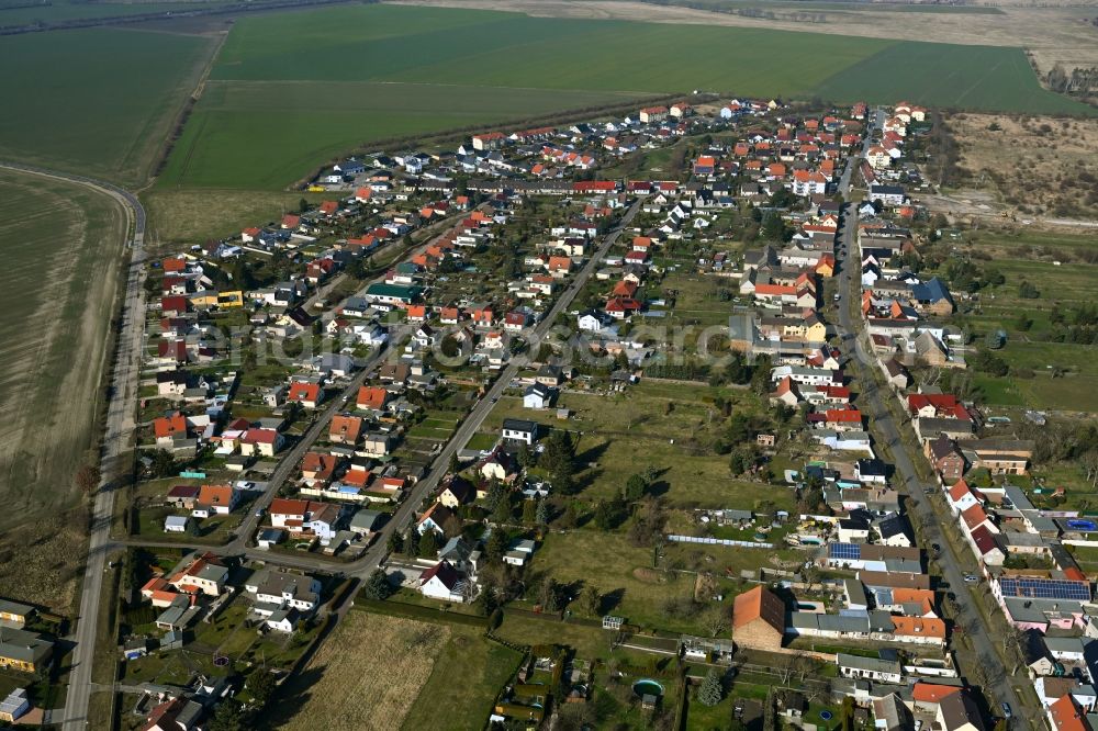 Aerial photograph Thalheim - Village view on the edge of agricultural fields and land in Thalheim in the state Saxony-Anhalt, Germany