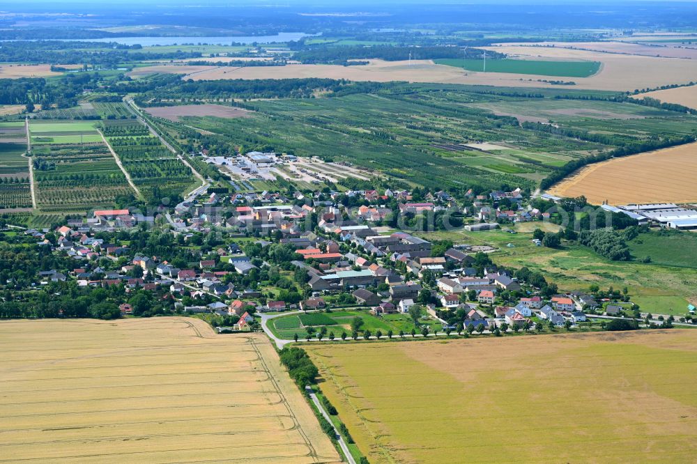 Tremmen from above - Village view on the edge of agricultural fields and land in Tremmen in the state Brandenburg, Germany