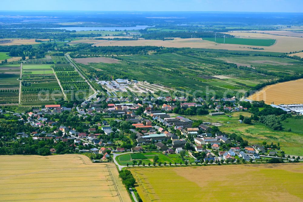 Tremmen from the bird's eye view: Village view on the edge of agricultural fields and land in Tremmen in the state Brandenburg, Germany