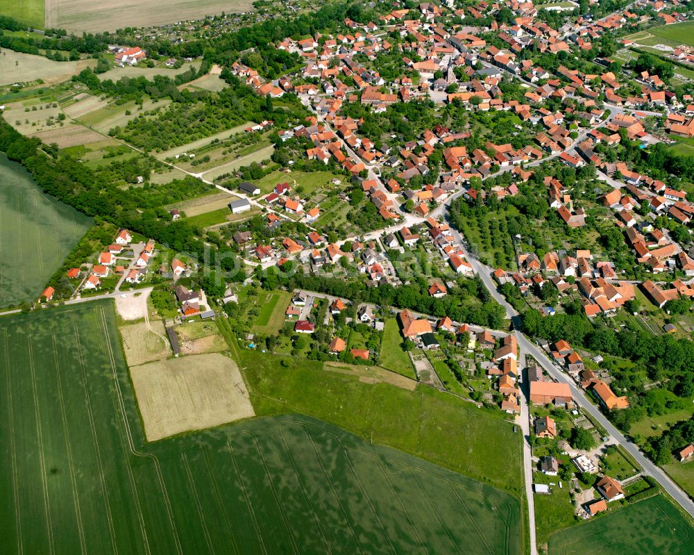 Aerial photograph Veckenstedt - Village view on the edge of agricultural fields and land in Veckenstedt in the state Saxony-Anhalt, Germany