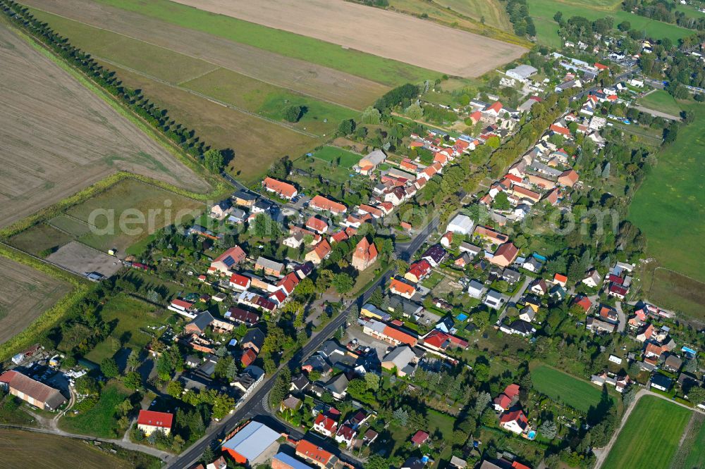 Wensickendorf from the bird's eye view: Village view on the edge of agricultural fields and land in Wensickendorf in the state Brandenburg, Germany