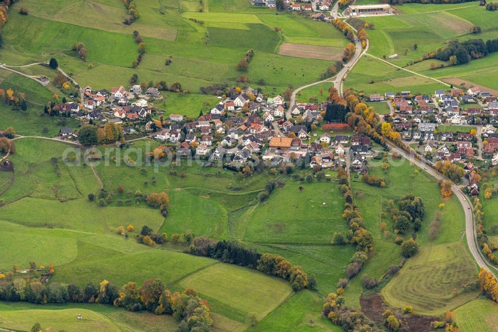 Aerial photograph Wittnau - Village view on the edge of agricultural fields and land in Wittnau in the state Baden-Wuerttemberg, Germany