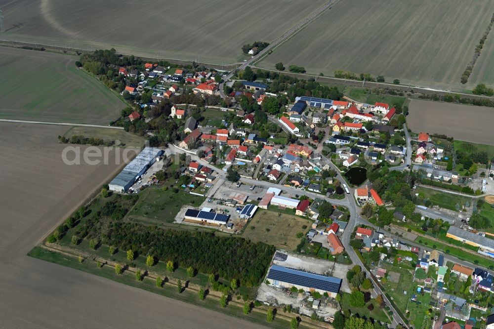 Zwebendorf from the bird's eye view: Village view on the edge of agricultural fields and land in Zwebendorf in the state Saxony-Anhalt, Germany