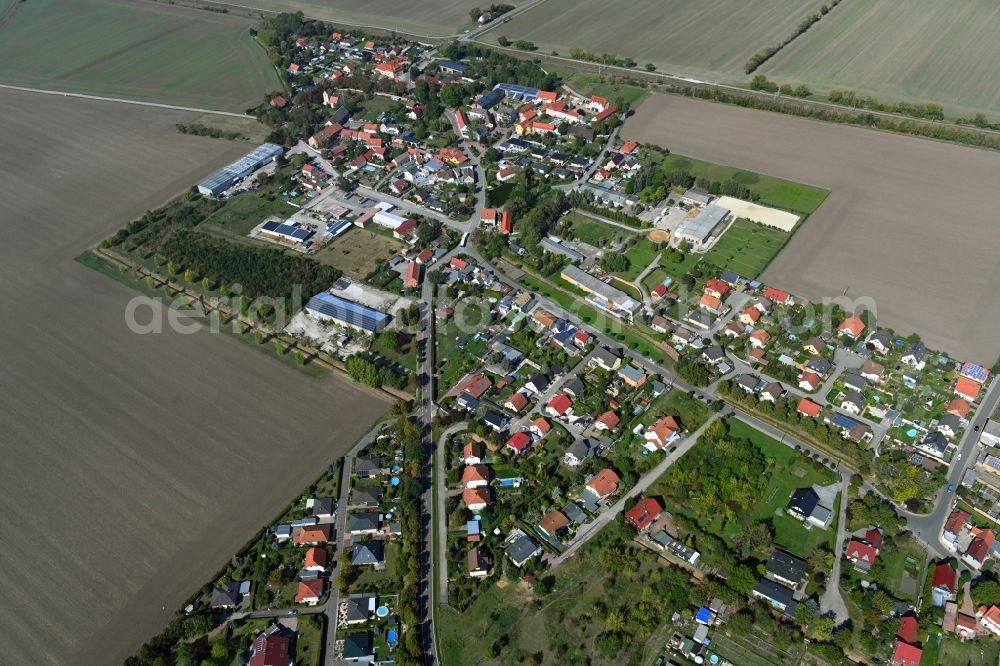 Aerial photograph Zwebendorf - Village view on the edge of agricultural fields and land in Zwebendorf in the state Saxony-Anhalt, Germany