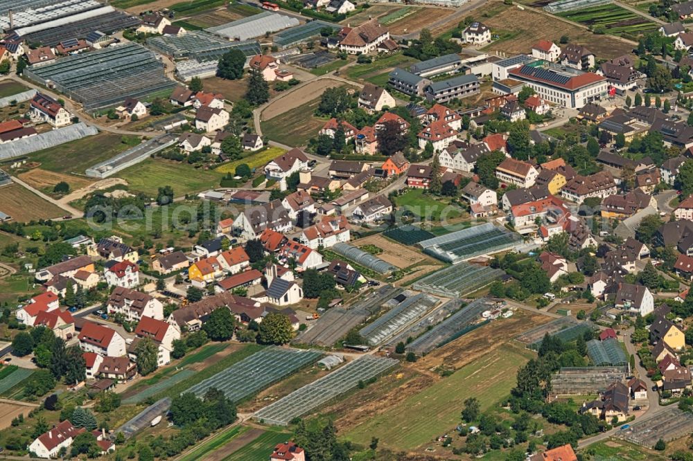 Reichenau from above - Town View of the streets and houses of the residential areas in Reichenau in the state Baden-Wurttemberg, Germany