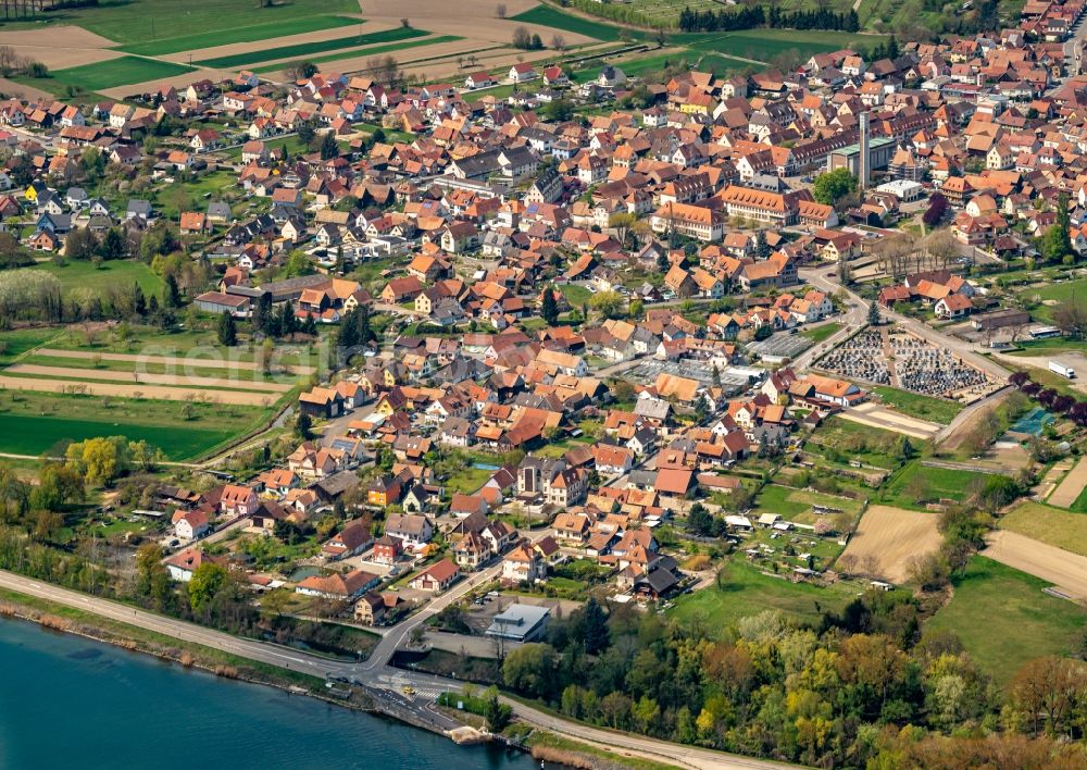 Aerial photograph Rhinau - Town View of the streets and houses of the residential areas in Rhinau in Grand Est, France