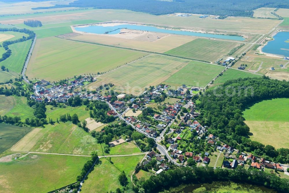 Aerial image Roitzschjora - Town View of the streets and houses in Roitzschjora in the state Saxony, Germany