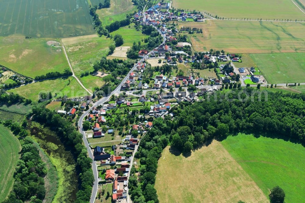 Aerial photograph Roitzschjora - Town View of the streets and houses in Roitzschjora in the state Saxony, Germany