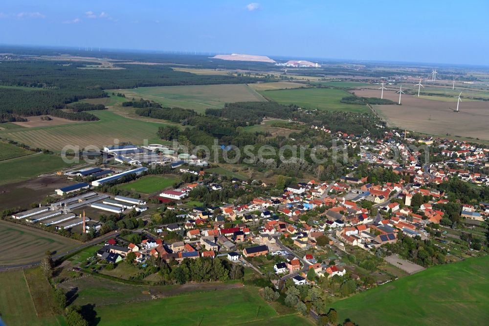Samswegen from above - Town View of the streets and houses of the residential areas in Samswegen in the state Saxony-Anhalt