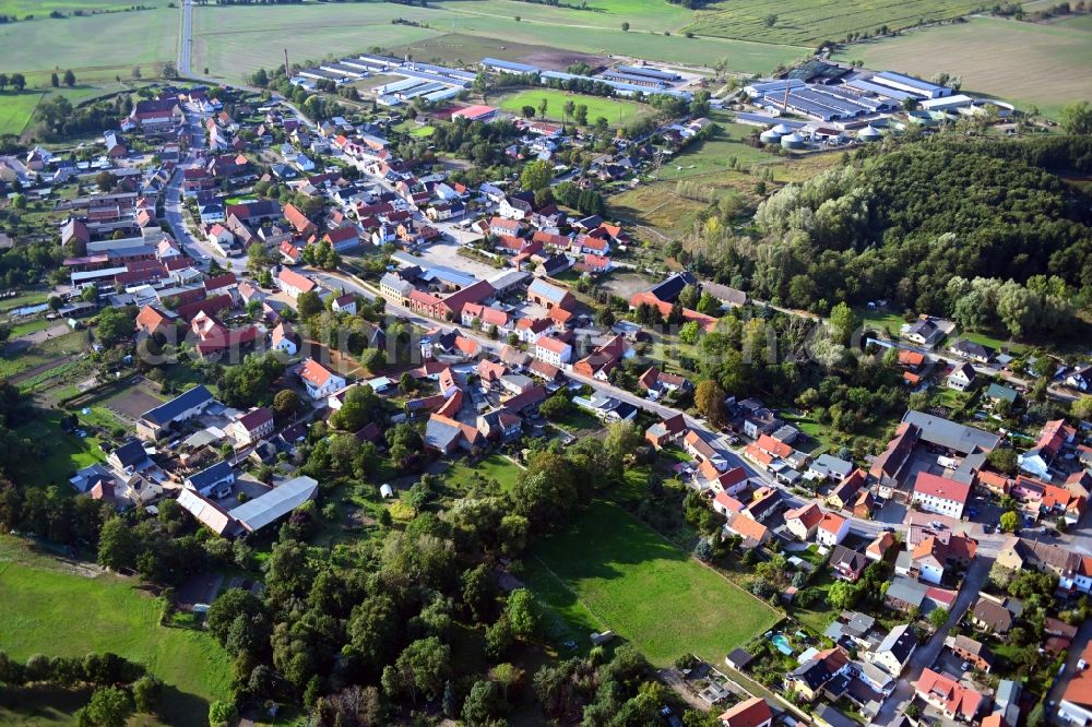 Aerial photograph Samswegen - Town View of the streets and houses of the residential areas in Samswegen in the state Saxony-Anhalt