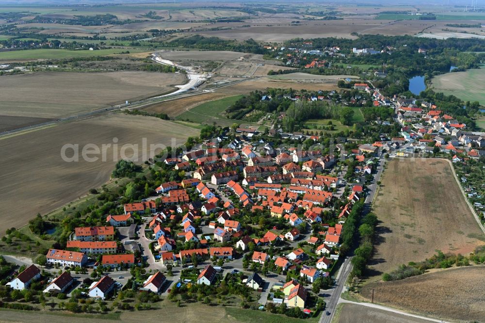 Schiepzig from the bird's eye view: Town View of the streets and houses of the residential areas in Schiepzig in the state Saxony-Anhalt, Germany