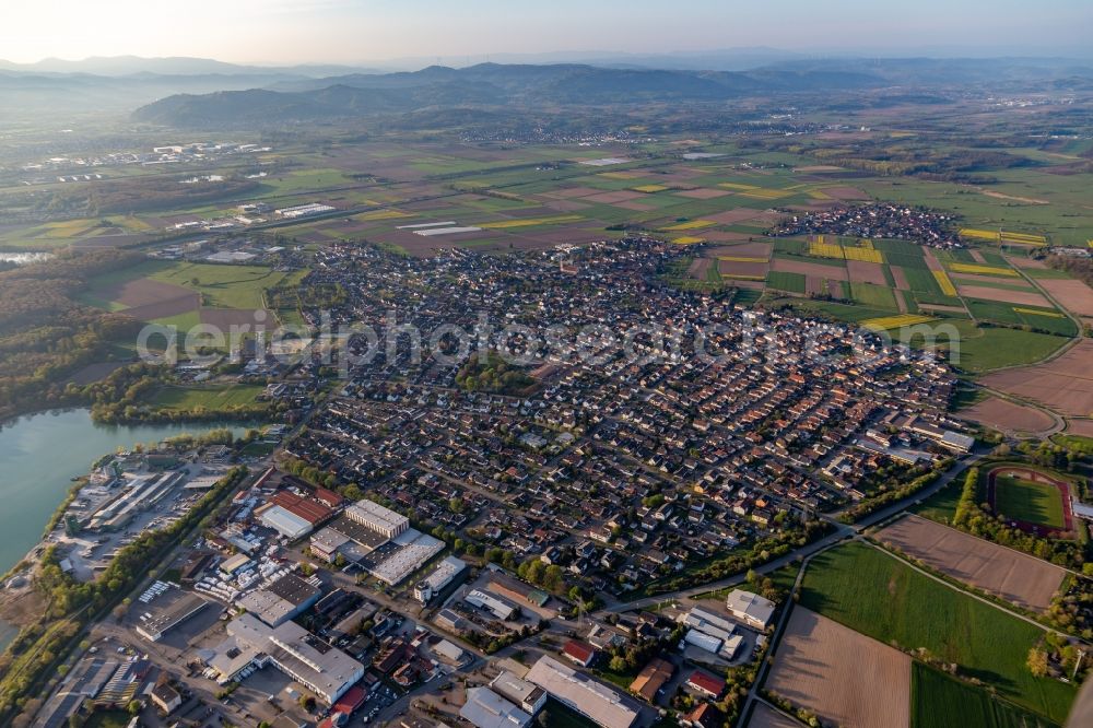 Schutterwald from the bird's eye view: Town View of the streets and houses of the residential areas in Schutterwald in the state Baden-Wurttemberg, Germany