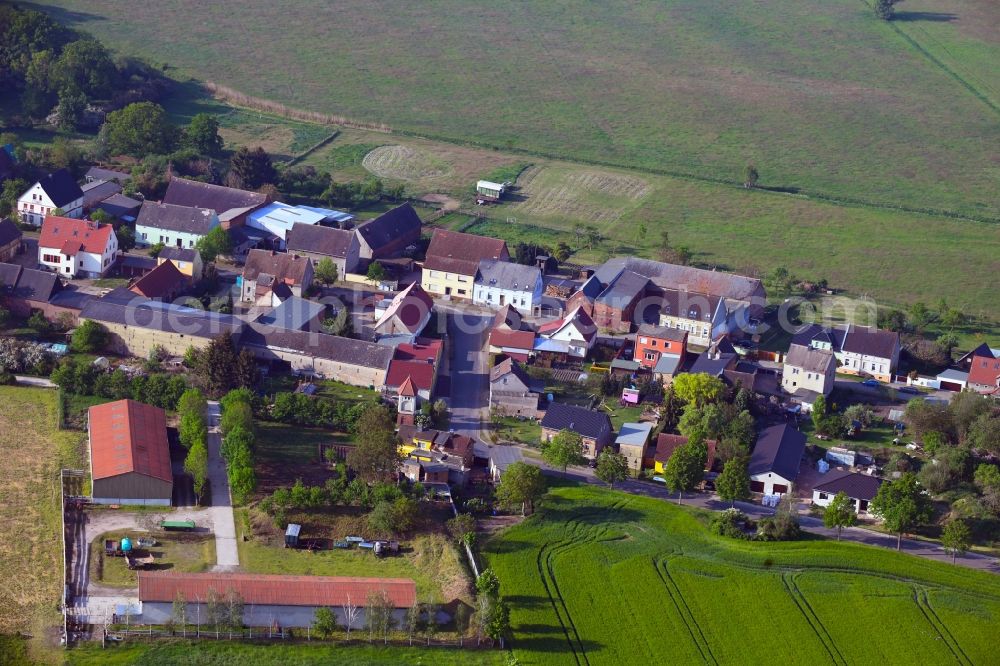 Aerial photograph Steutz - Town View of the streets and houses of the residential areas in Steutz in the state Saxony-Anhalt, Germany