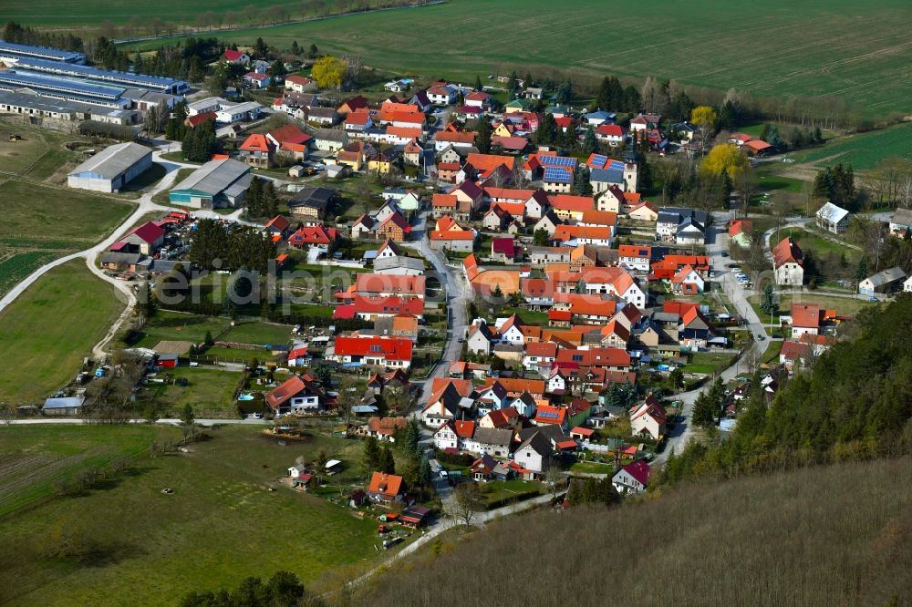 Thangelstedt from the bird's eye view: Local view on the edge of agricultural fields, usable areas, meadows and forest in Thangelstedt in the state Thuringia, Germany