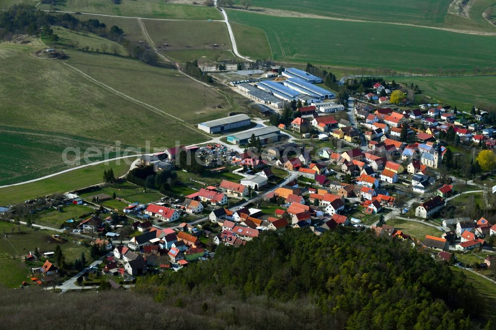 Aerial photograph Thangelstedt - Local view on the edge of agricultural fields, usable areas, meadows and forest in Thangelstedt in the state Thuringia, Germany