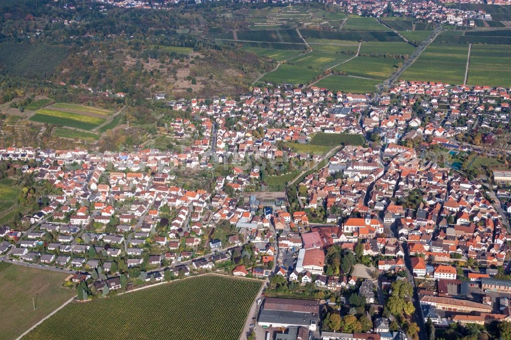 Aerial photograph Wachenheim an der Weinstraße - Town View of the streets and houses of the residential areas in Wachenheim an der Weinstrasse in the state Rhineland-Palatinate, Germany