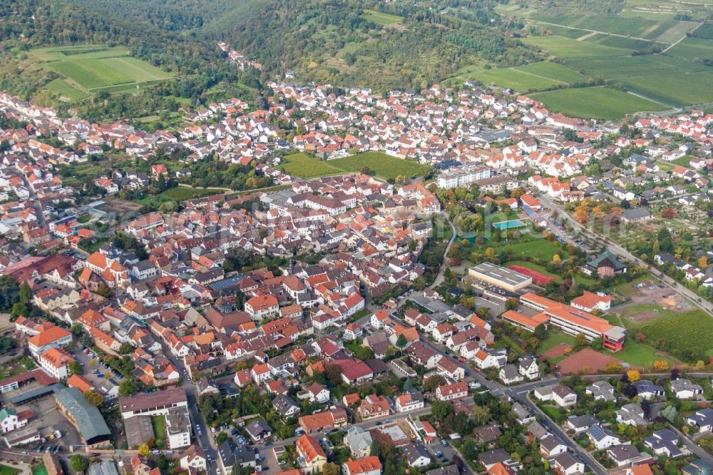 Wachenheim an der Weinstraße from the bird's eye view: Town View of the streets and houses of the residential areas in Wachenheim an der Weinstrasse in the state Rhineland-Palatinate, Germany