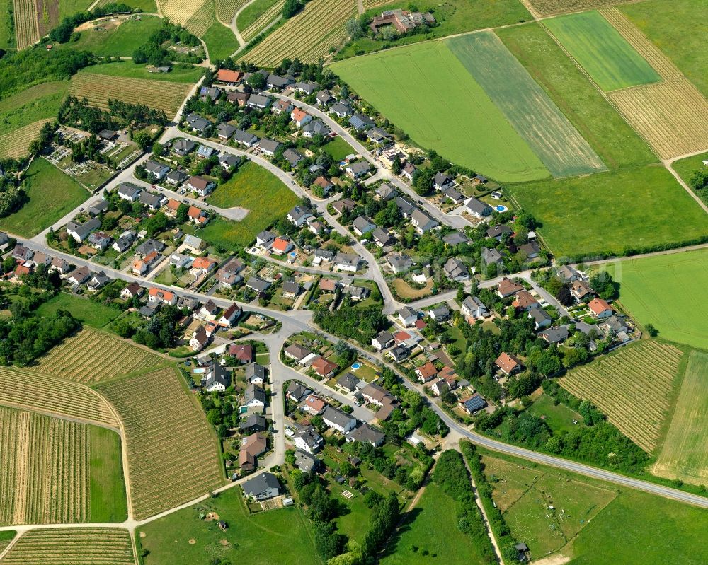 Waldlaubersheim from the bird's eye view: District view of Waldlaubersheim in the state Rhineland-Palatinate