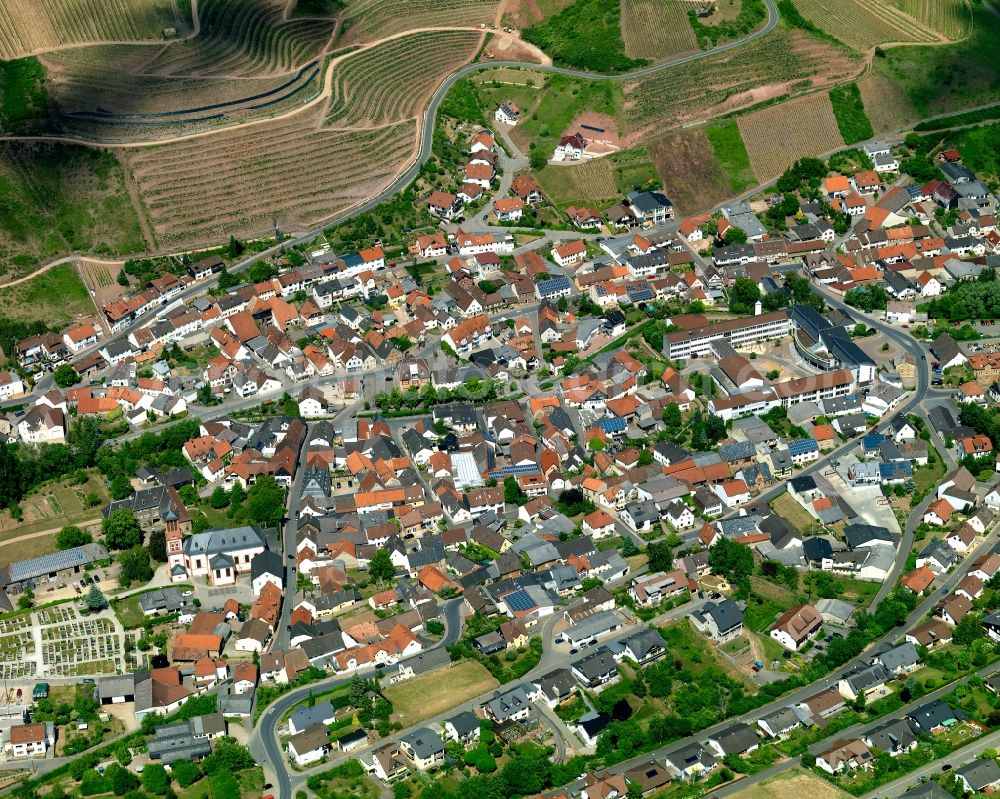 Wallhausen from the bird's eye view: View at Wallenhausen in Rhineland-Palatinate