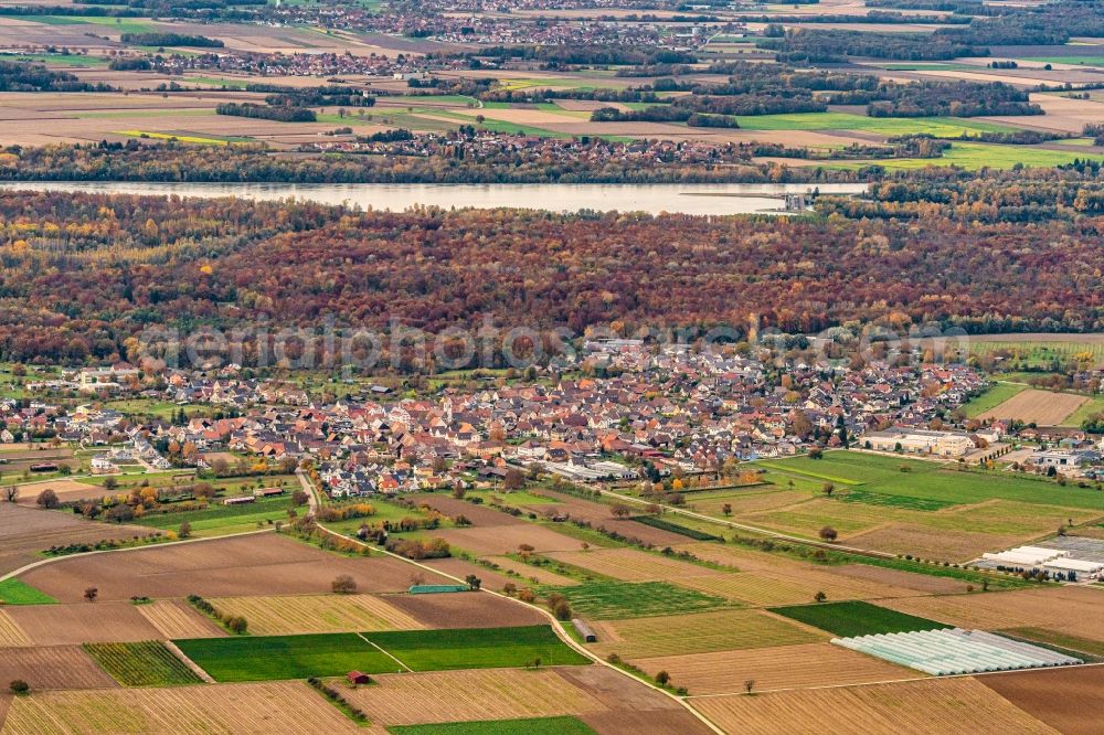Aerial photograph Weisweil - Town View of the streets and houses of the residential areas in Weisweil in the state Baden-Wurttemberg, Germany