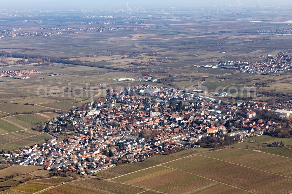 Deidesheim from above - Local area and environment in Deidesheim in the state Rhineland-Palatinate