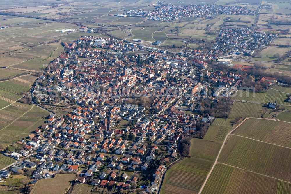 Deidesheim from the bird's eye view: Local area and environment in Deidesheim in the state Rhineland-Palatinate