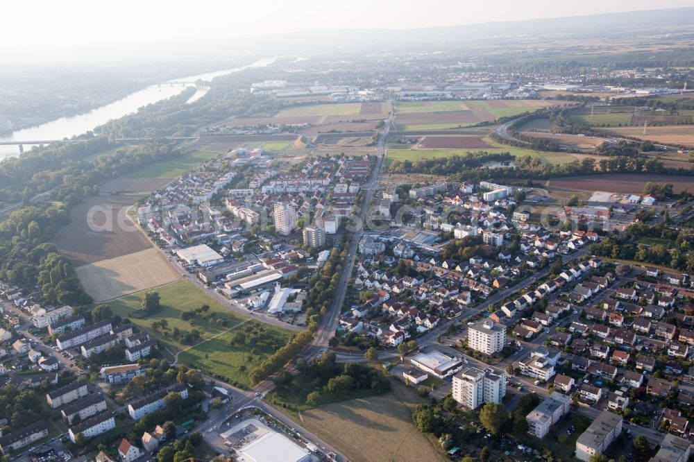 Ginsheim-Gustavsburg from the bird's eye view: Town on the banks of the river of the Rhine river in the district Gustavsburg in Ginsheim-Gustavsburg in the state Hesse, Germany