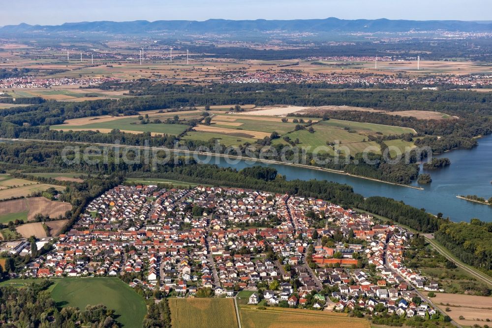 Aerial photograph Rheinhausen - Town on the banks of the river of the Rhine river in Rheinhausen in the state Baden-Wuerttemberg, Germany