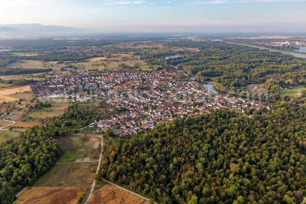 Plittersdorf from the bird's eye view: Village on the banks of the area Altrhein - river course in Plittersdorf in the state Baden-Wuerttemberg, Germany