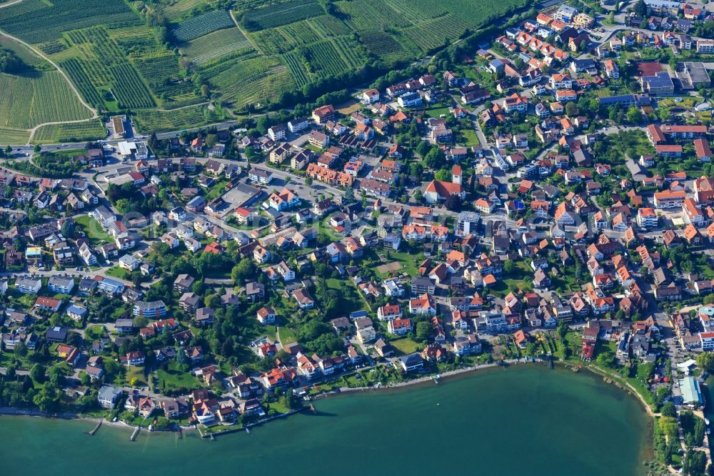 Immenstaad am Bodensee from the bird's eye view: Village on the banks of the area of Lake of Constance in Immenstaad am Bodensee in the state Baden-Wurttemberg, Germany