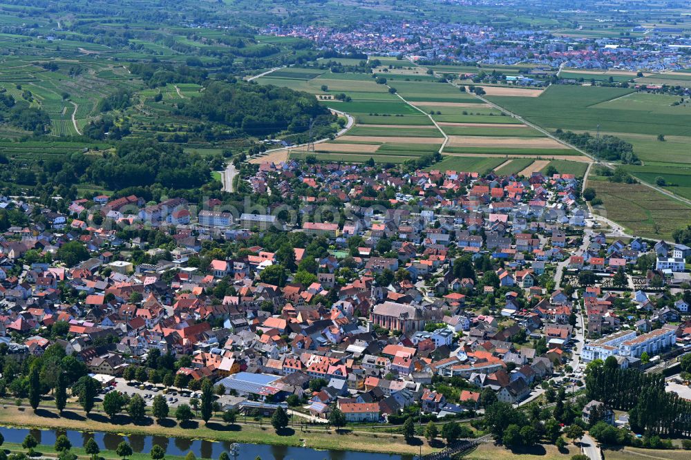 Riegel am Kaiserstuhl from the bird's eye view: Village on the banks of the area Elz - river course in Riegel am Kaiserstuhl in the state Baden-Wuerttemberg, Germany
