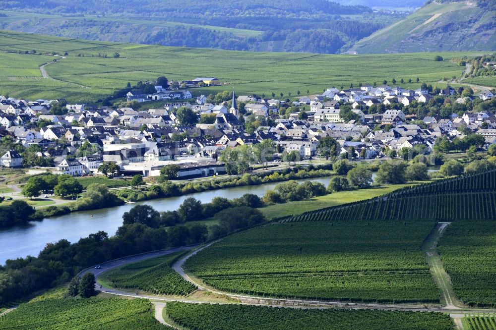 Aerial photograph Leiwen - Village on the banks of the area Moselle - river course in Leiwen in the state Rhineland-Palatinate, Germany