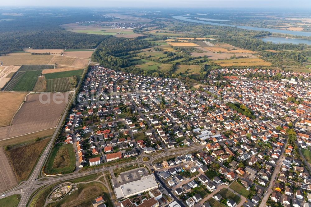 Aerial image Iffezheim - Village on the banks of the area Rhine - river course in Iffezheim in the state Baden-Wuerttemberg, Germany